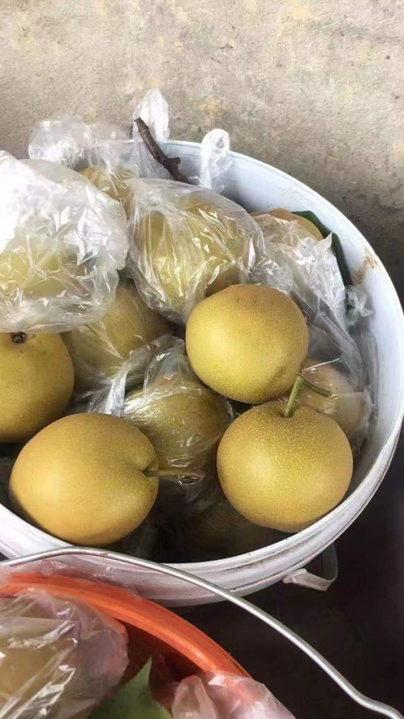 精品