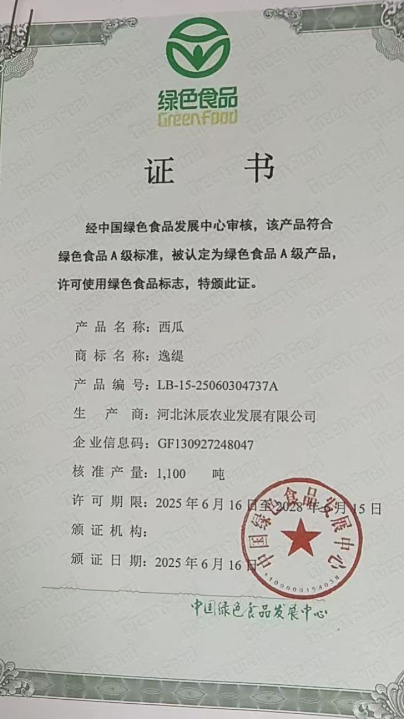 新拳王西瓜大量上市，价格低西瓜品质好，一天可装十万斤
