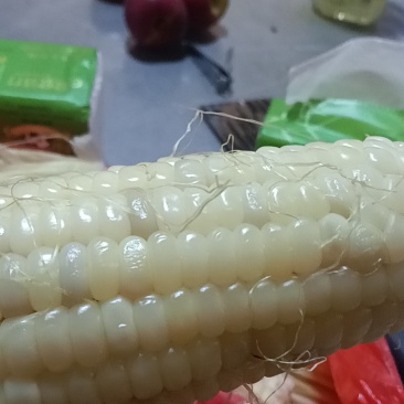 莱西粘玉米