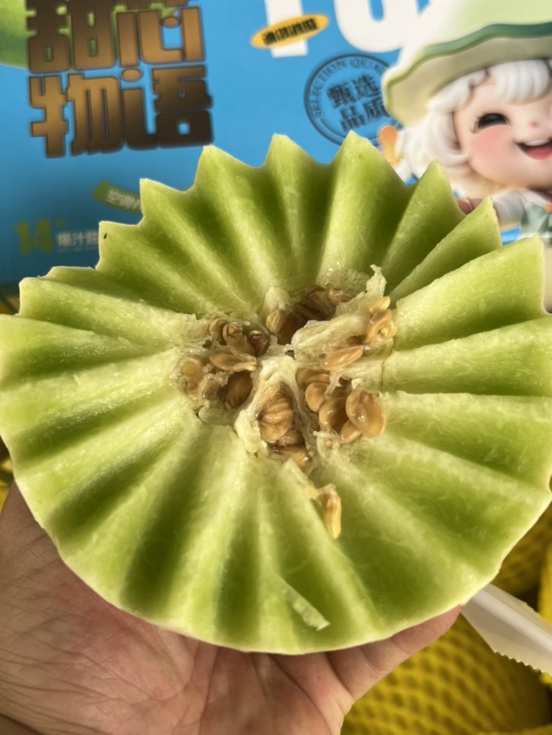 聊城玉菇甜瓜基地直供质量保证一手货源对接商超市场
