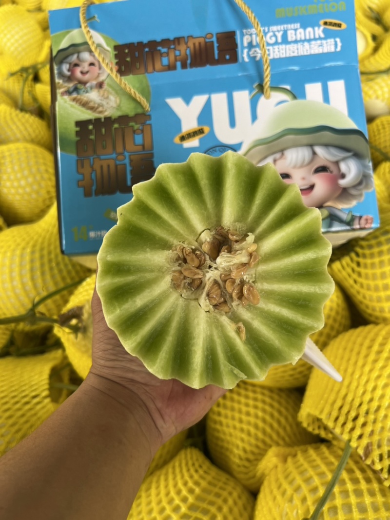 聊城玉菇甜瓜基地直供质量保证一手货源对接商超市场