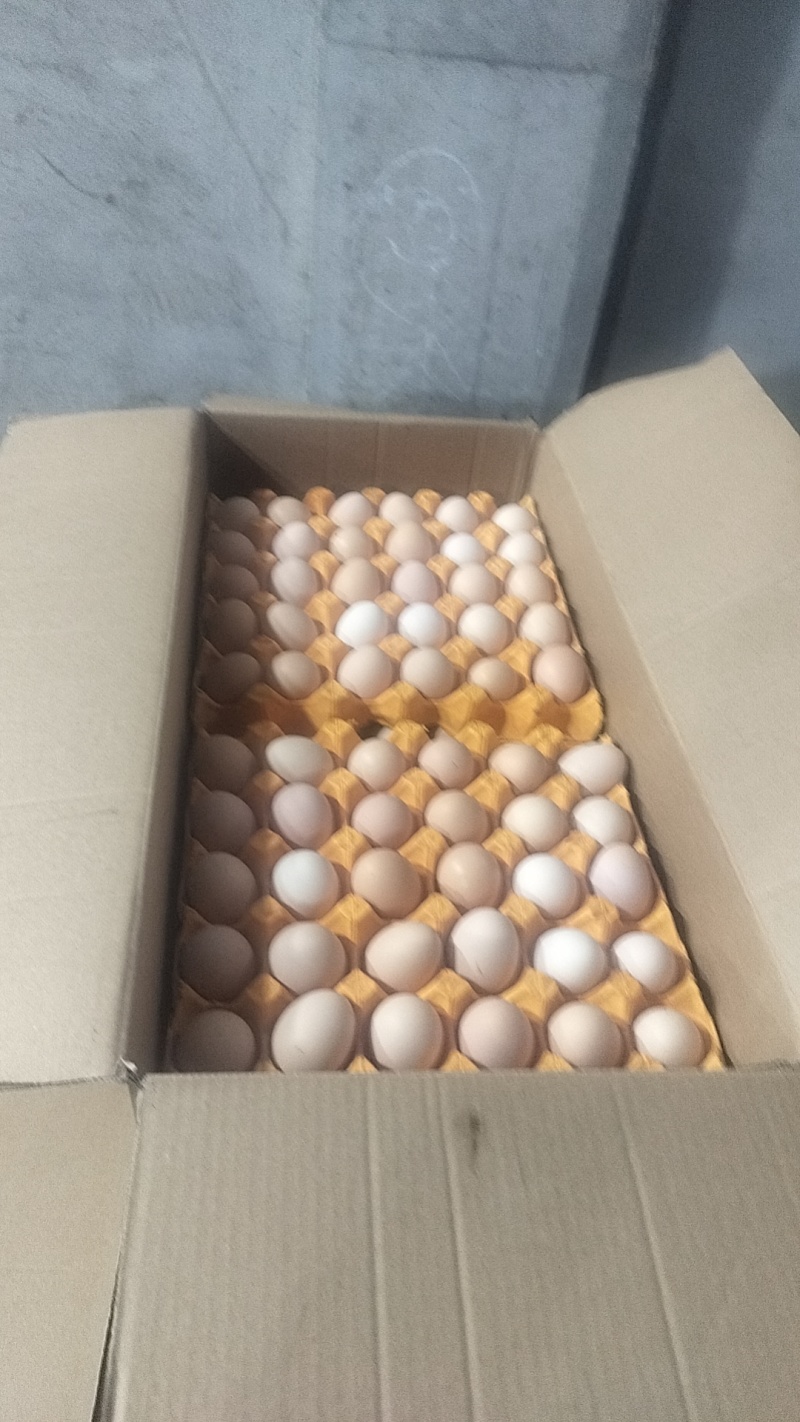 食品厂的来40/41斤土鸡蛋