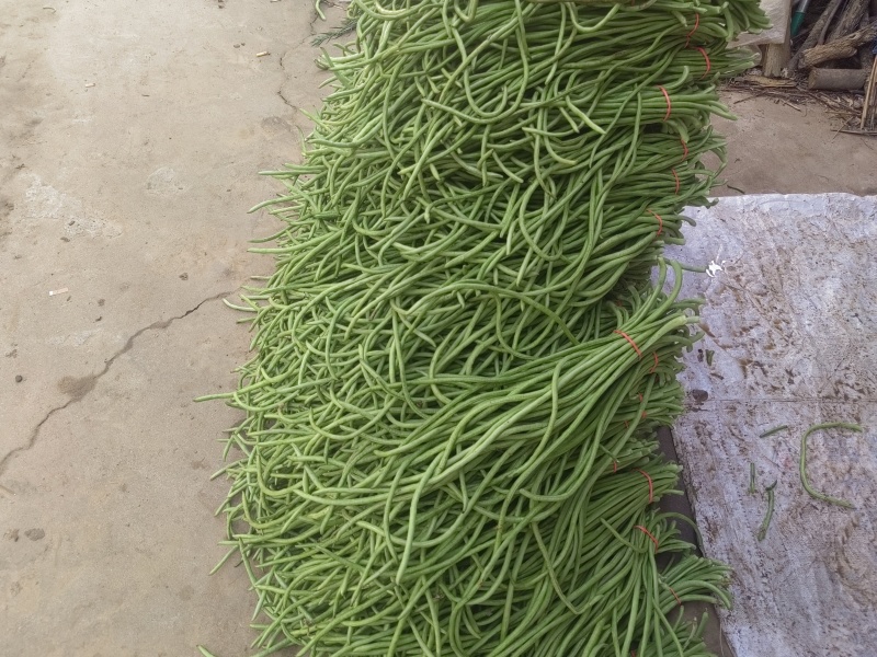 青豇豆