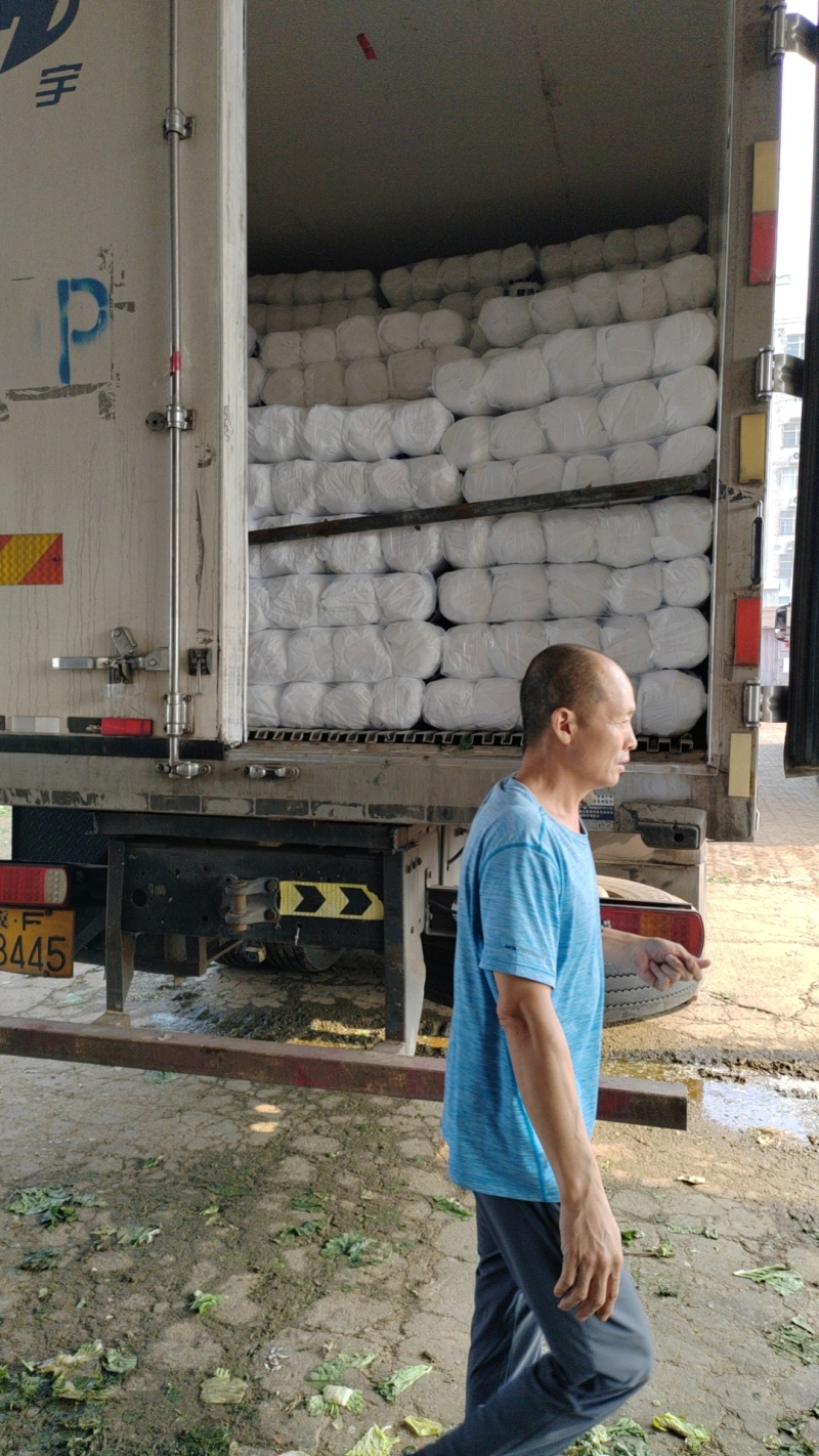 黄心白菜，精品玲珑黄白菜，散装基地直发，大小规格齐全，