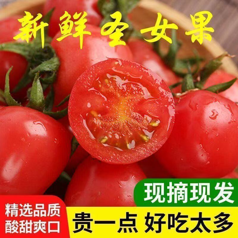 包邮）云南高原**鲜圣女果整箱现摘小西红柿奔走相告的特