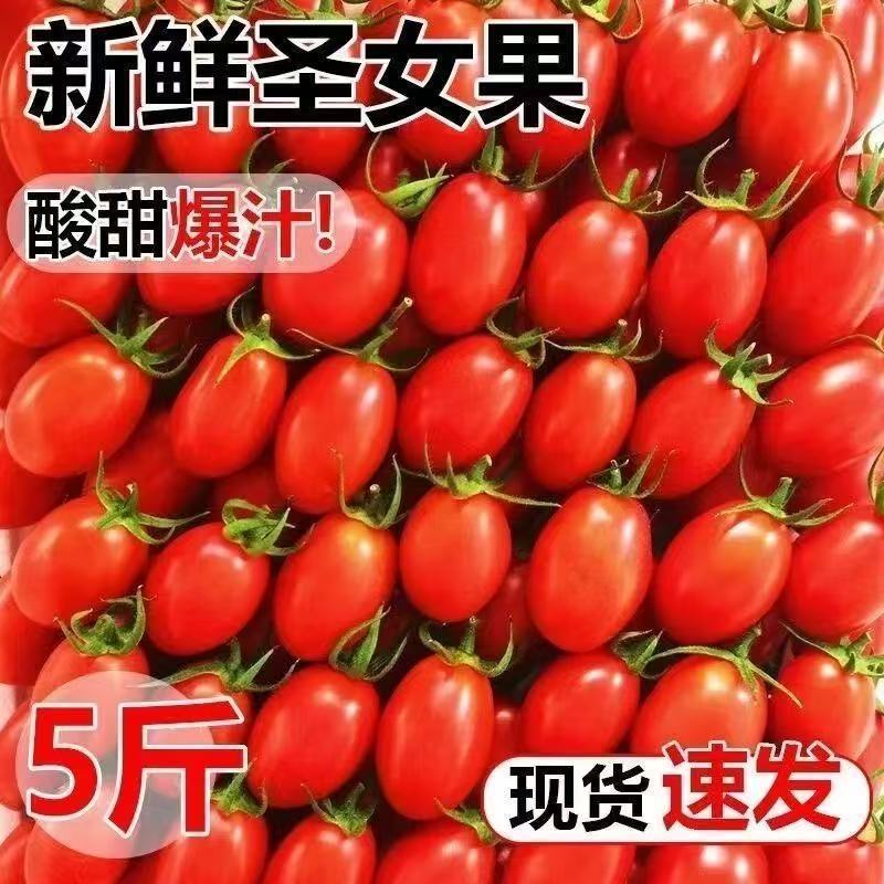 包邮）云南高原**鲜圣女果整箱现摘小西红柿奔走相告的特