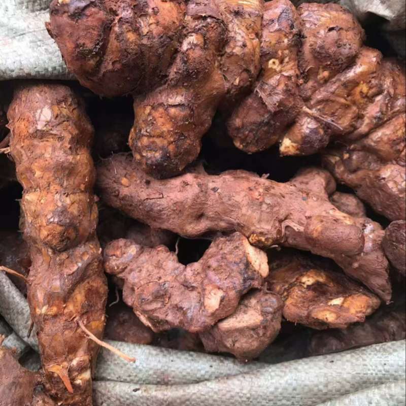 土茯苓粉质白肉