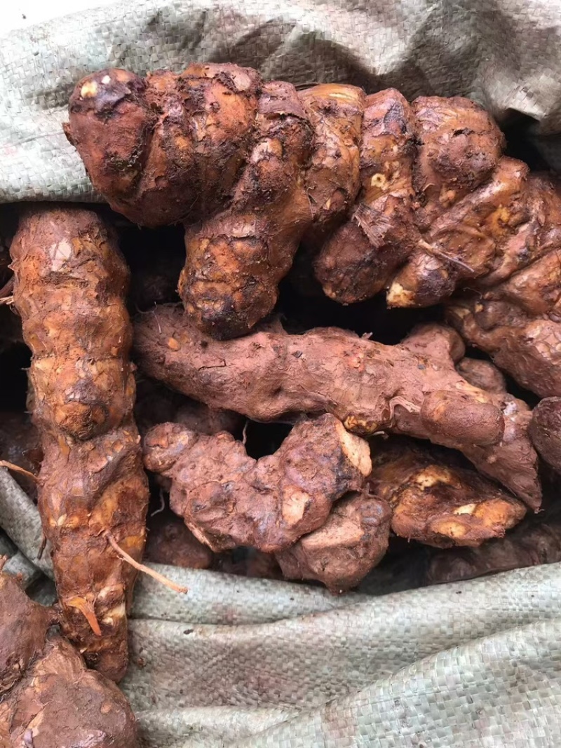 土茯苓粉质白肉