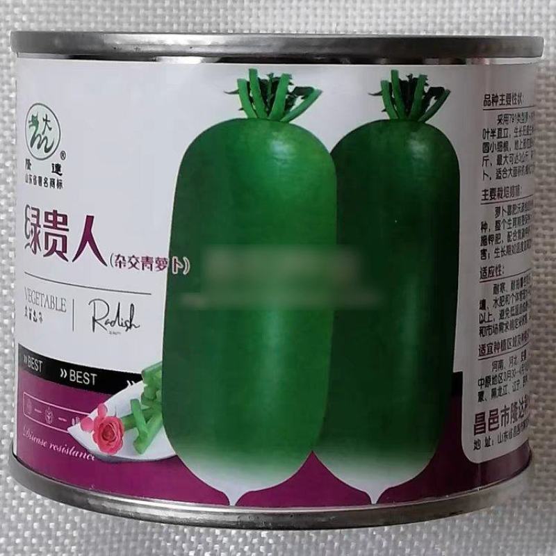 杂交青萝卜种子绿贵人表皮光滑爽脆多汁圆柱水果型青萝卜种籽