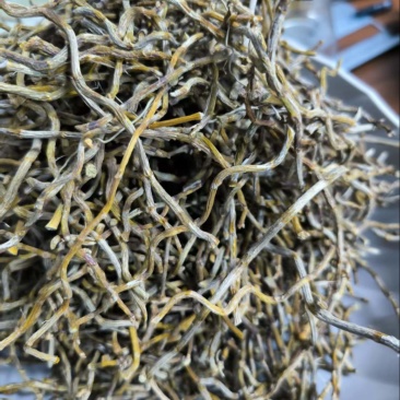 铁皮石斛打粉条，全化渣、产地直销