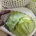 甘肃甘蓝精品圆包菜对接电商市场商超可视频
