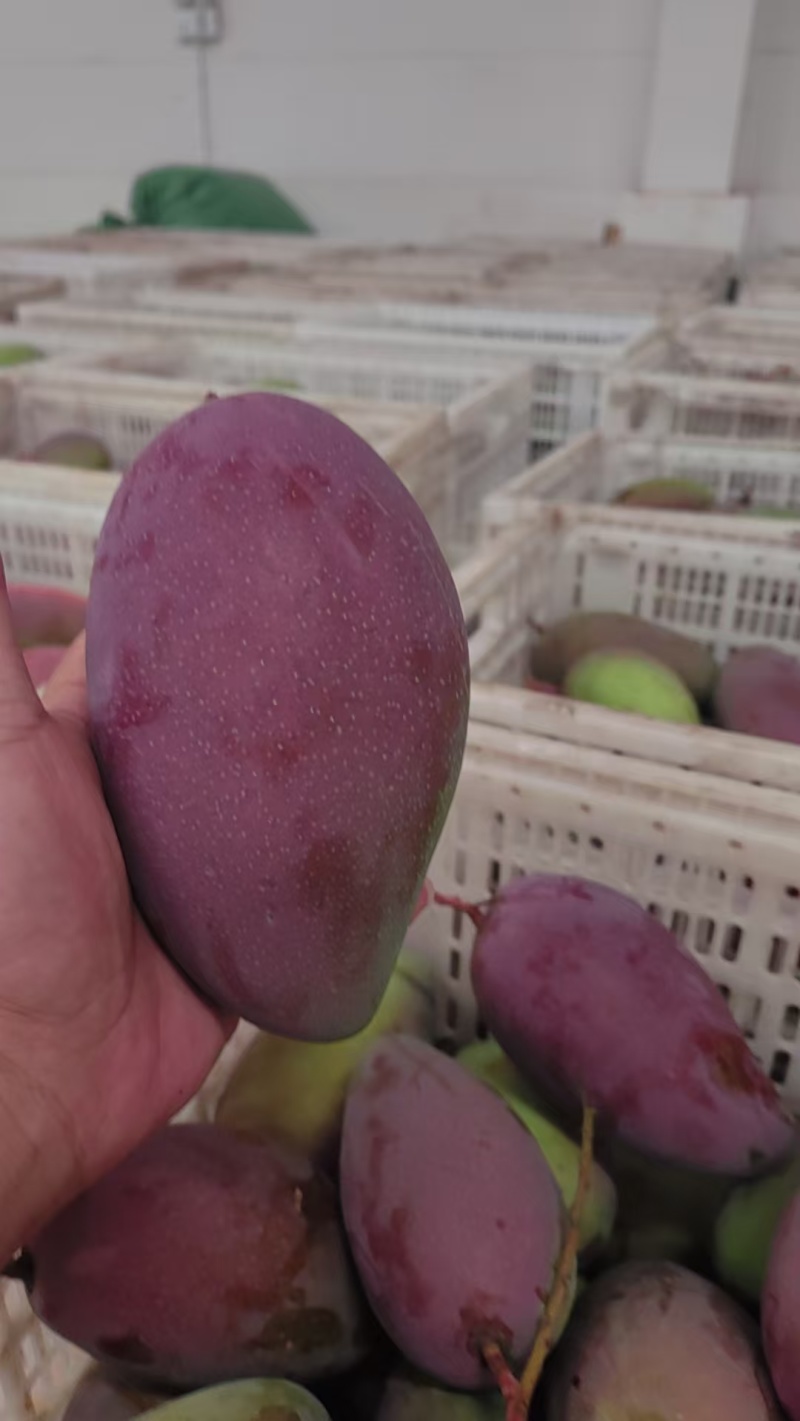 贵妃到货，昆明仓库价格底