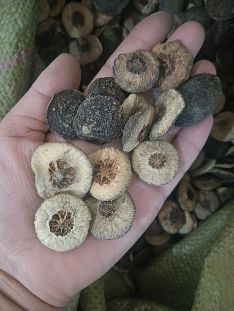 枳实鹅眼枳实产地江西多种规格任选1斤起批欢迎选购