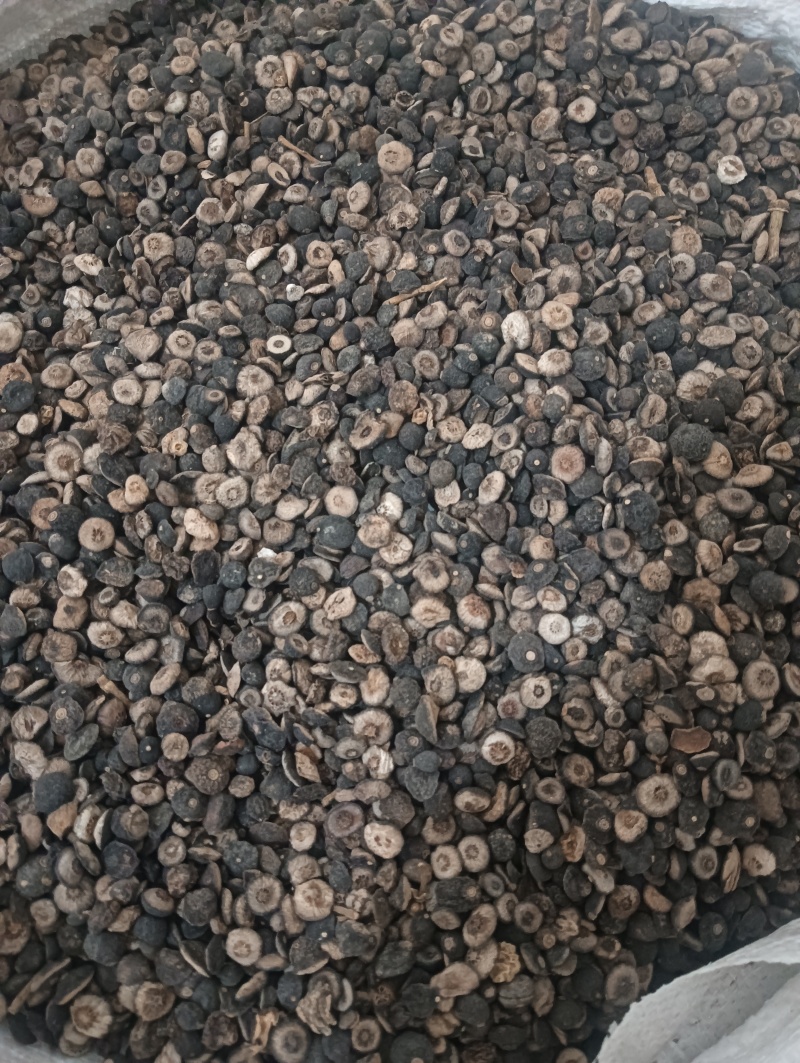 枳实鹅眼枳实产地江西多种规格任选1斤起批欢迎选购
