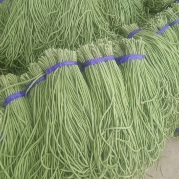 保定清苑架豆大量上市中欢迎新老顾客前来采购