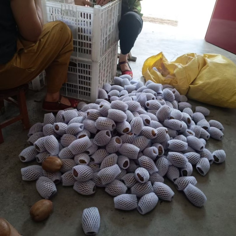 眉县猕猴桃预定单，农户自产自销标价不是卖价，请各位老板