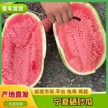 宁夏石头瓜-硒砂瓜-大量上市-皮薄瓤红耐运输-支持代发