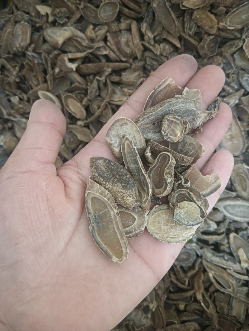 郁金现货供应一斤起批批发各种中药材量大优惠