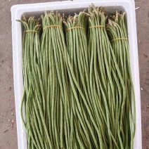 欢迎来电豆角豇豆角/云南红河/现货/批发~电商~商超