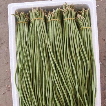 欢迎来电豆角豇豆角/云南红河/现货/批发~电商~商超