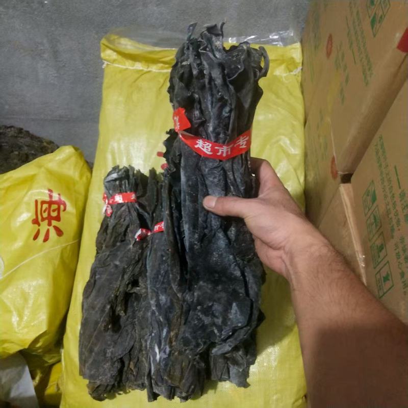 海带头长头短头干海带头海带干海带片海带头片产地直接发货