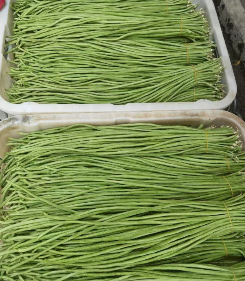 欢迎来电豆角豇豆角/云南红河/现货/批发~电商~商超