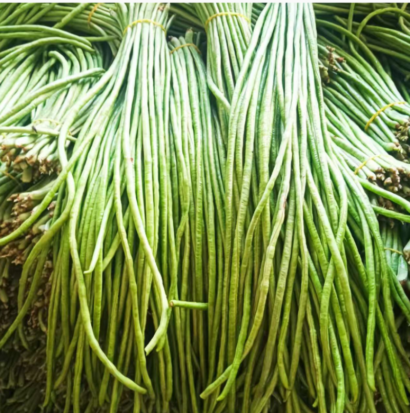 欢迎来电豆角豇豆角/云南红河/现货/批发~电商~商超