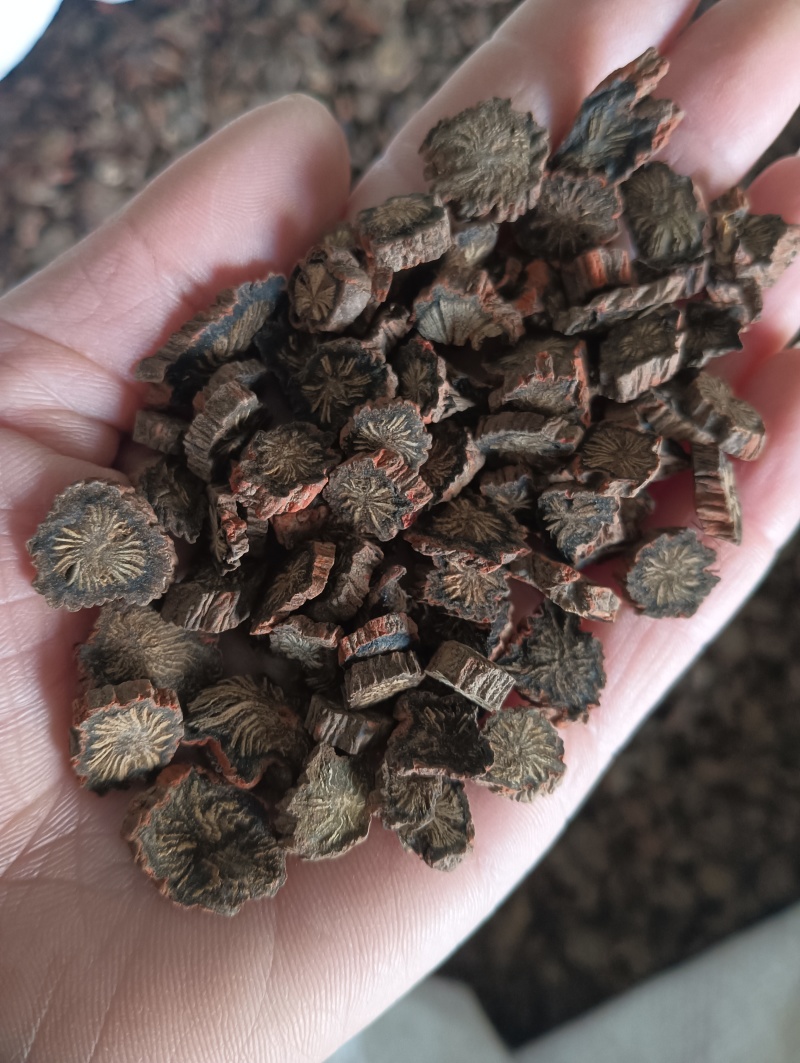 山东丹参紫丹参一手货源量大优惠批发各种中药材