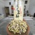 铁皮石斛冻干粉冻干条二选一