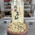 铁皮石斛冻干粉冻干条二选一