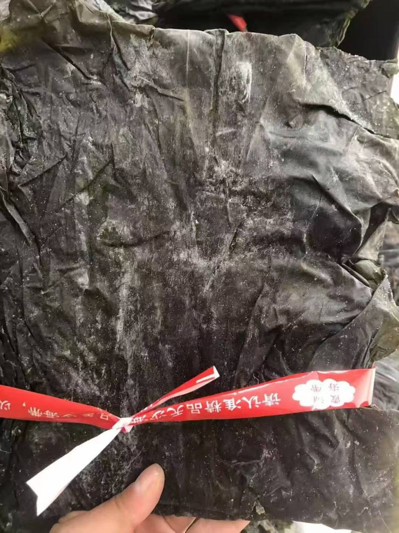 海带短板菜三十板菜海带片剪头去尾短板菜海带板海带干
