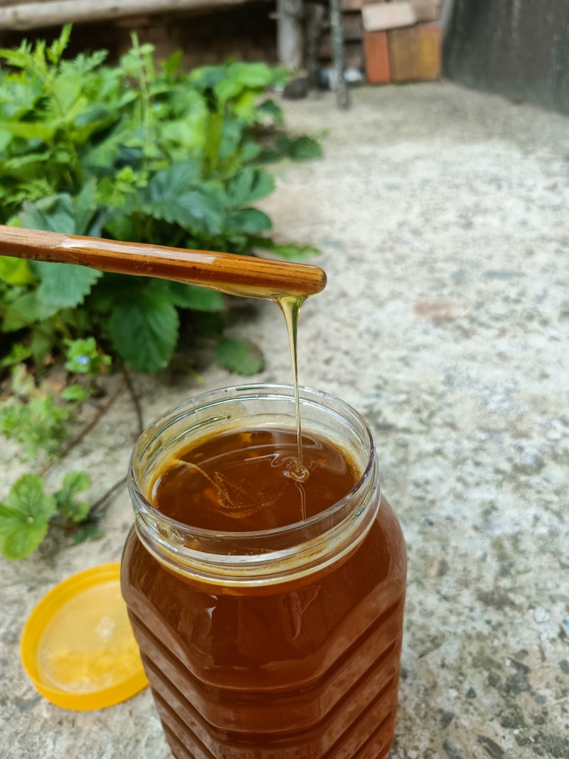 甘肃陇南市百花蜜