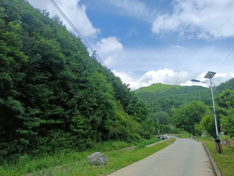 甘肃陇南市百花蜜