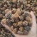 乌梅产地直发一手货源，质量保证，量大从优，欢迎选购