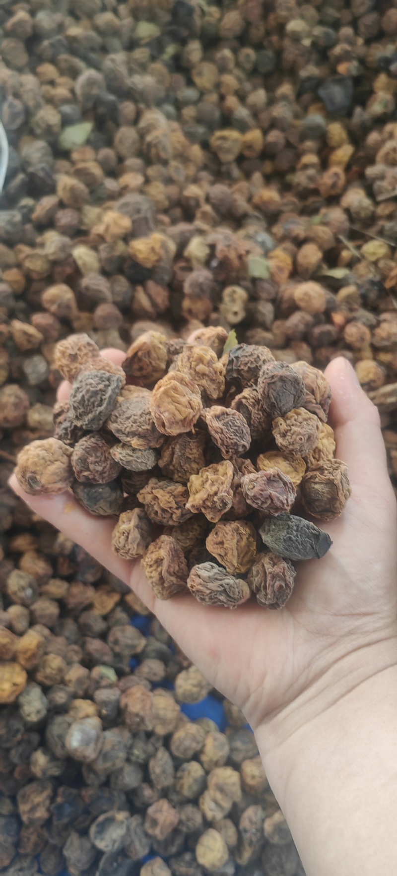 乌梅产地直发一手货源，质量保证，量大从优，欢迎选购