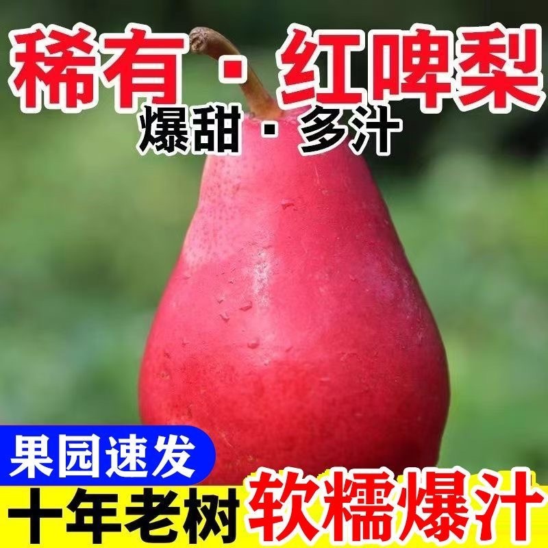 （一件代发）红啤梨～彩虹梨～日发3万单～对接各大电商平台