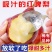 （一件代发）红啤梨～彩虹梨～日发3万单～对接各大电商平台