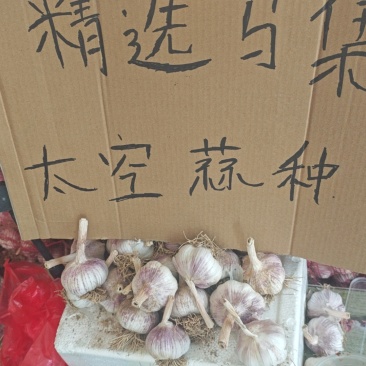 规格五个五个半往上