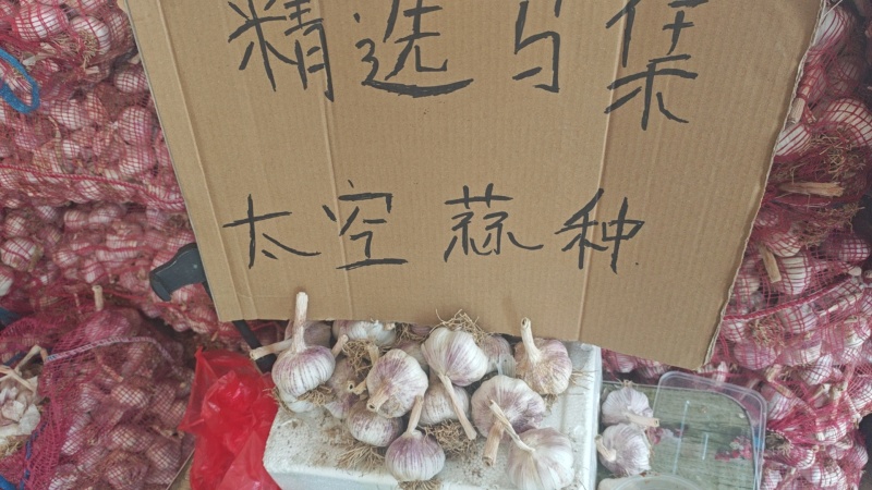 规格五个五个半往上