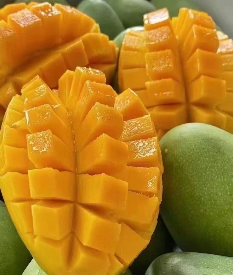 大台农芒果