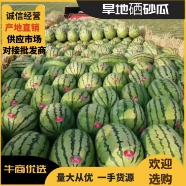 硒砂瓜原产地西瓜皮薄耐运输精品货源产地看货发货