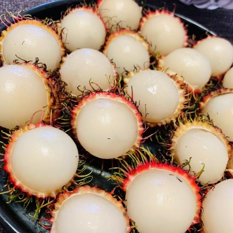 保亭红毛丹