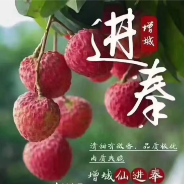 荔枝皇后仙进奉