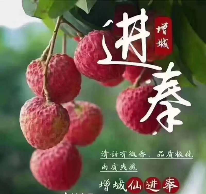 荔枝皇后仙进奉