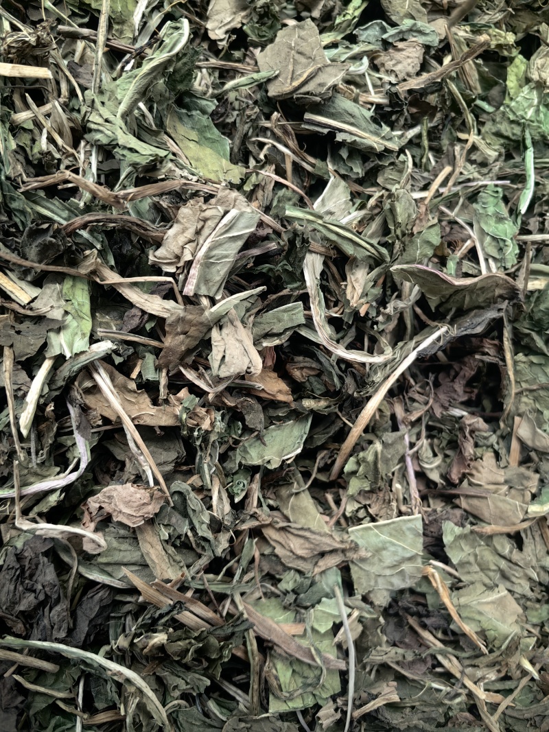 蒲公英婆婆丁颜色青可打粉新货批发各种中药材