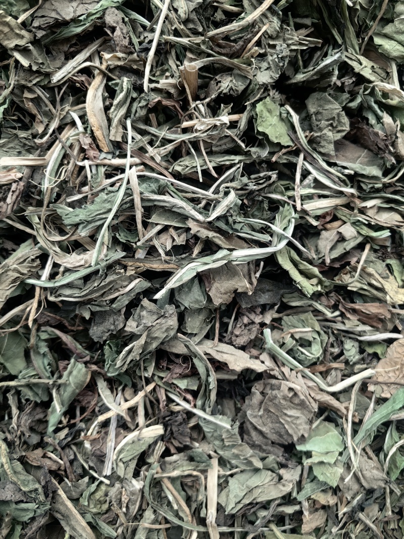 蒲公英婆婆丁颜色青可打粉新货批发各种中药材