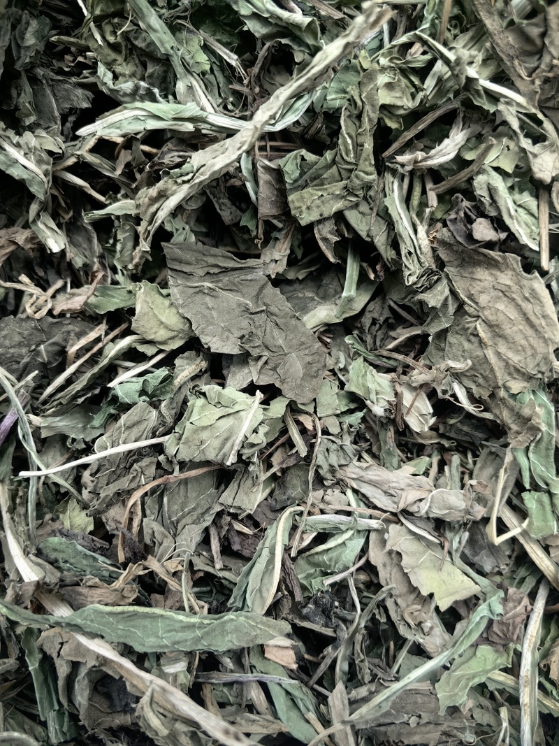 蒲公英婆婆丁颜色青可打粉新货批发各种中药材