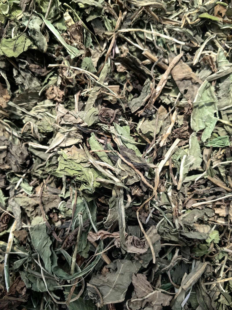 蒲公英婆婆丁颜色青可打粉新货批发各种中药材