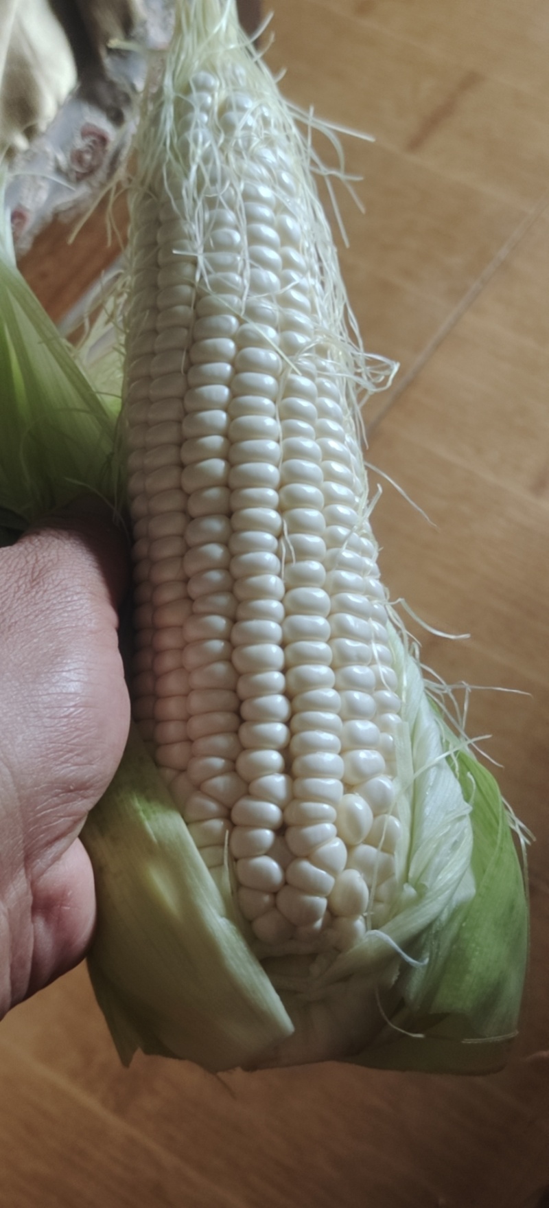 白粘玉米好吃品质保证支持视频看货欢迎来电洽谈