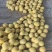 攀枝花白袋和黄袋热龙芒一手货源对接市场批发和商超